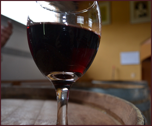 イタリアワインを学ぶのに最適なワインは？