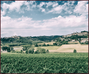 イタリアの土地柄と栽培環境